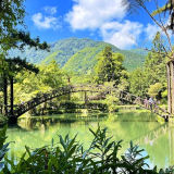 溪頭自然教育園區