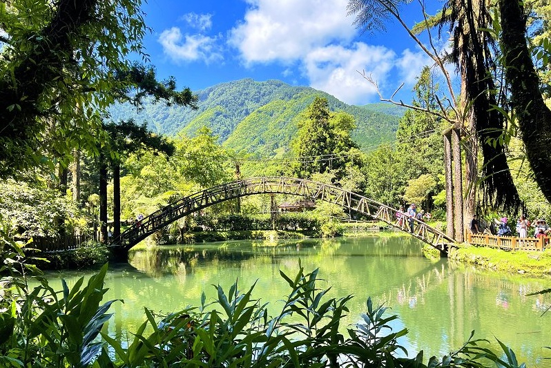 溪頭自然教育園區