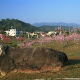 小半天石馬公園