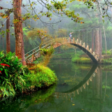 溪頭自然教育園區