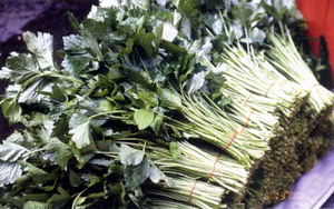 山芹菜 山芹菜